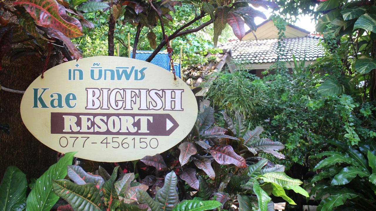 Big Fish Resort Koh Tao Extérieur photo