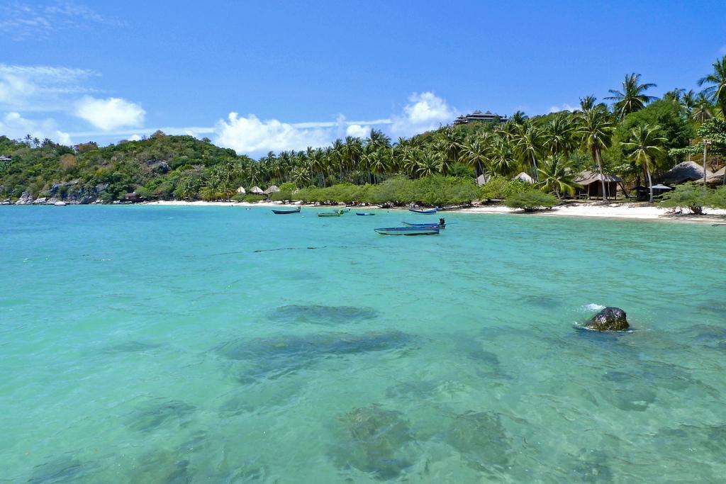 Big Fish Resort Koh Tao Extérieur photo